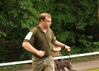 DSC_2805-mezitrida-52-sir_z_langrova_dvora.JPG
