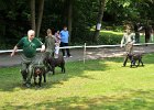 DSC_2807-trida_pracovni.JPG