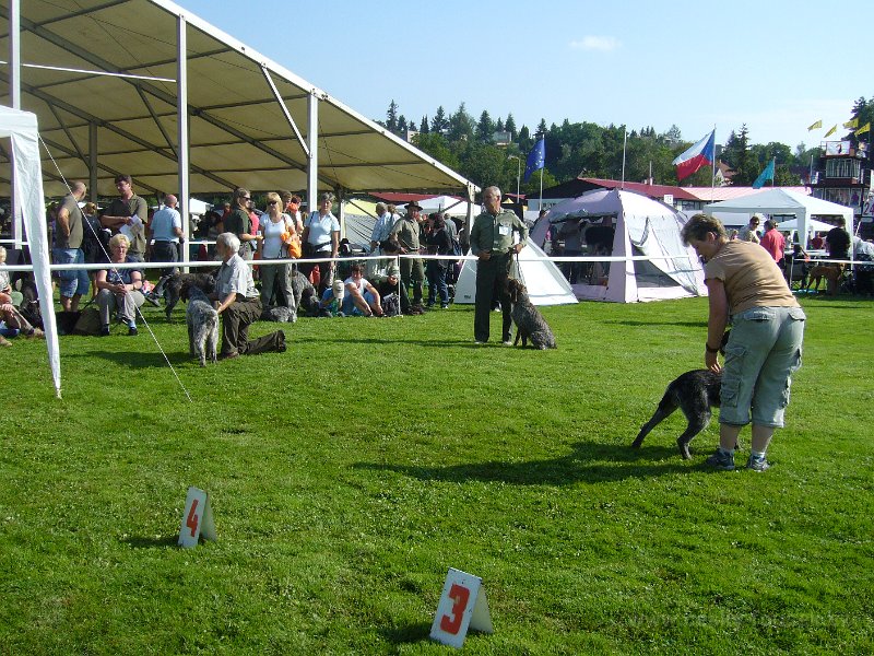 P1100101