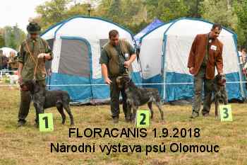 fotogal nv floracanis2018