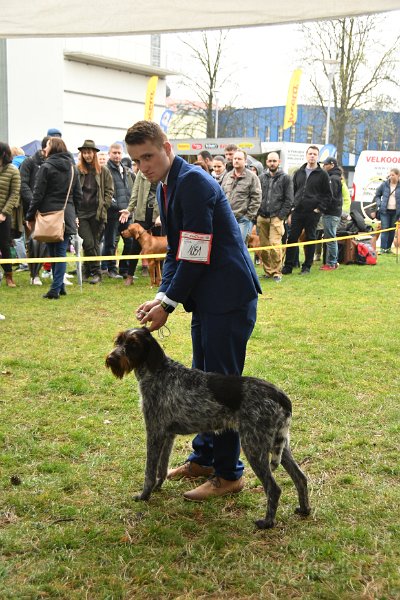 1051-Afra z lišanských luk a hájů-VD2