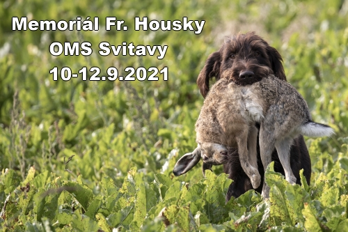 Fotogalerie memoriál Fr. Housky  2021