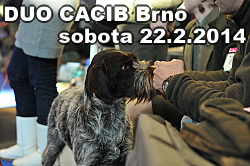 duo-brno-sobota2014