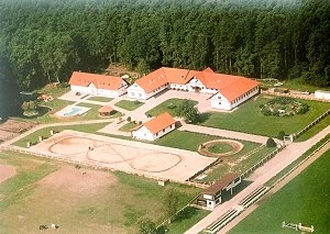 kolesa